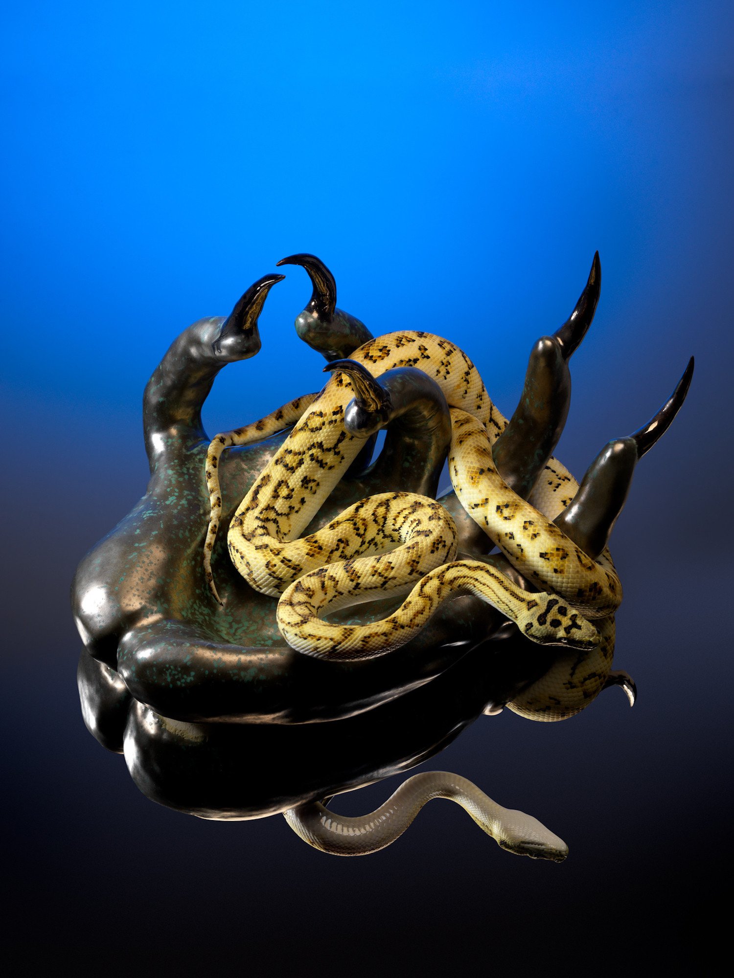 Naomi gilon charmeuse de serpents 01